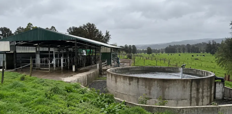 Sala de ordeña y estanque de hormigón para aguas de lavado en una lechería del sur