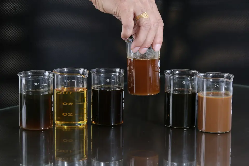 Vasos de laboratorio con muestras de agua de distintos colores