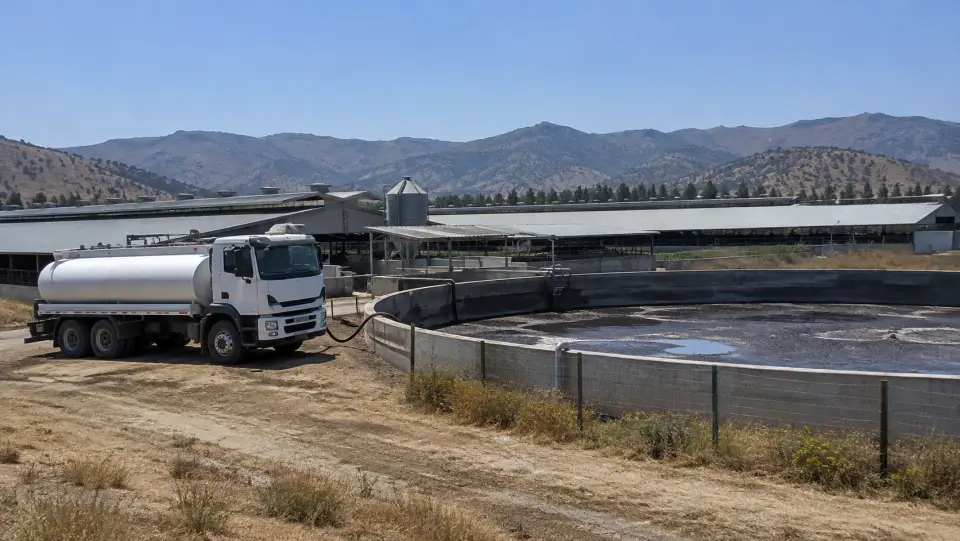 Camión aljibe junto a un pozo circular de purines al lado de los galpones de un plantel porcino